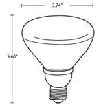 Bulbrite 511402